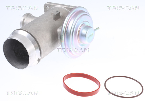 TRISCAN AGR - Ventil 881311102